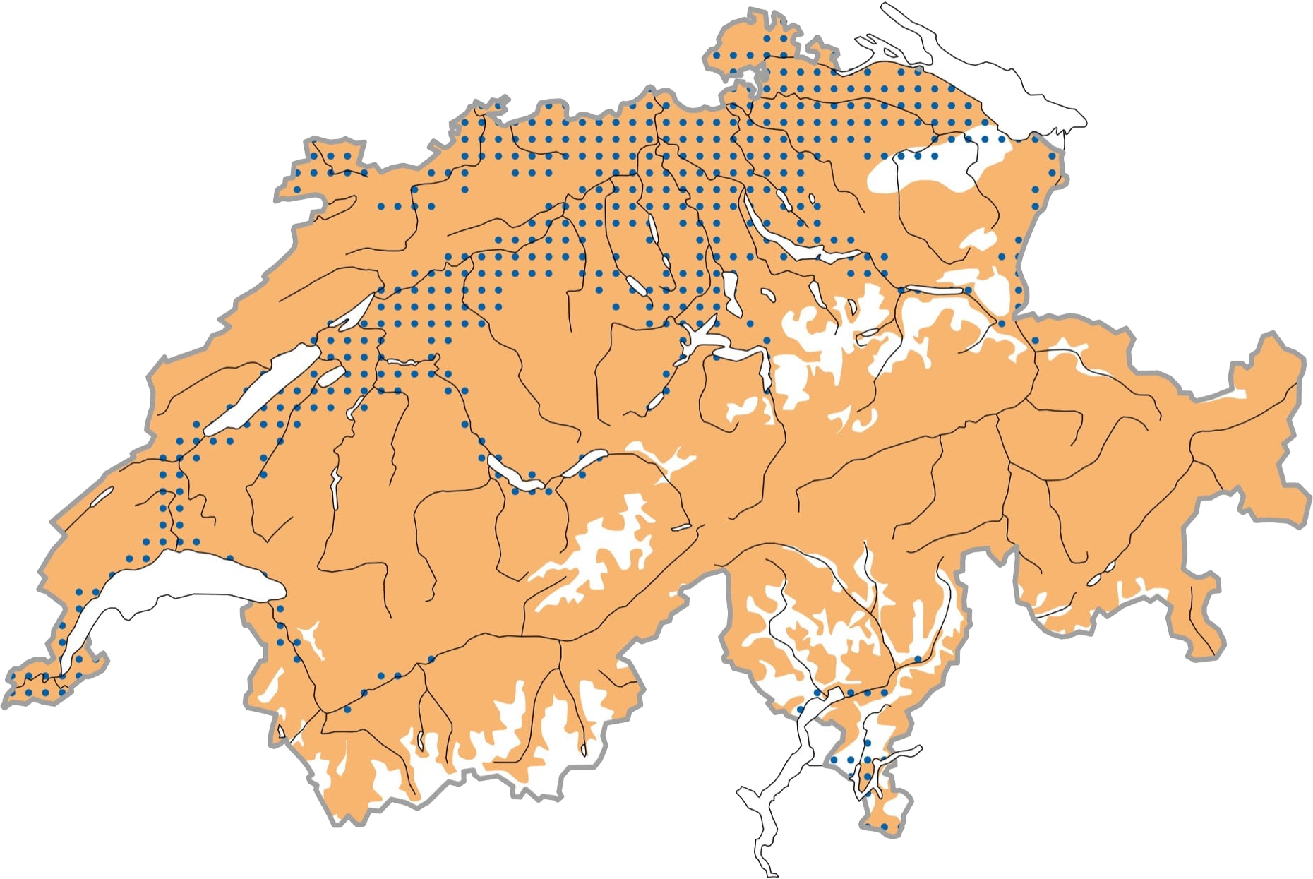 Schematisierte Verbreitung zur Brutzeit (ocker), im Winter (blau punktiert) oder zu den Zugzeiten (weinrot punktiert). Quelle: Vogelwarte Image