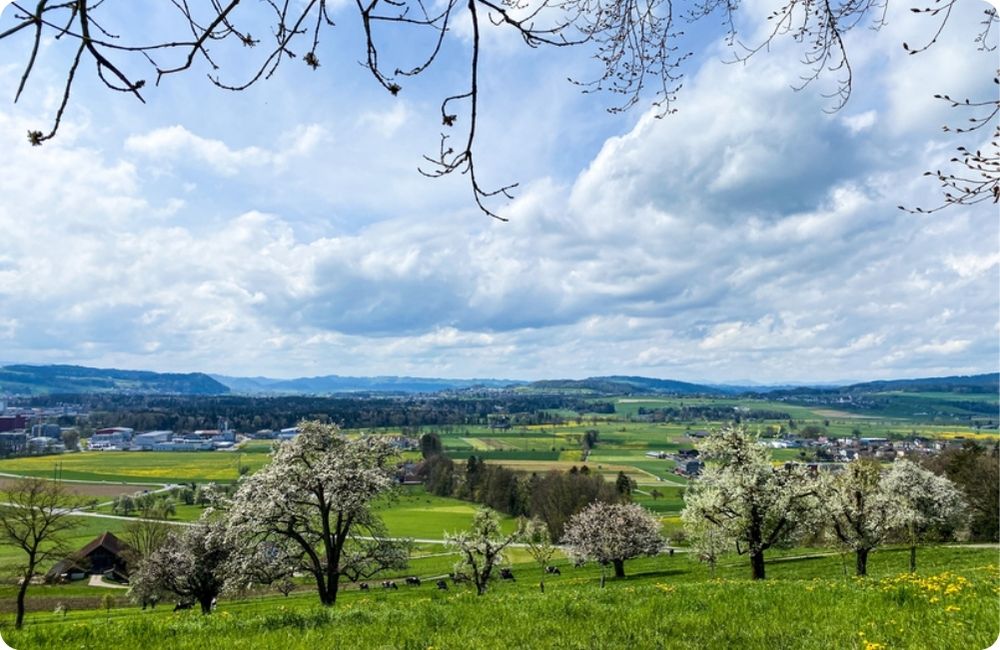 2_offene-landschaft